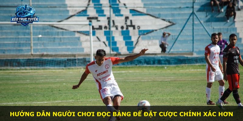 Hướng dẫn người chơi đọc bảng để đặt cược chính xác hơn