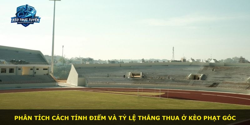 Phân tích cách tính điểm và tỷ lệ thắng thua ở kèo phạt góc