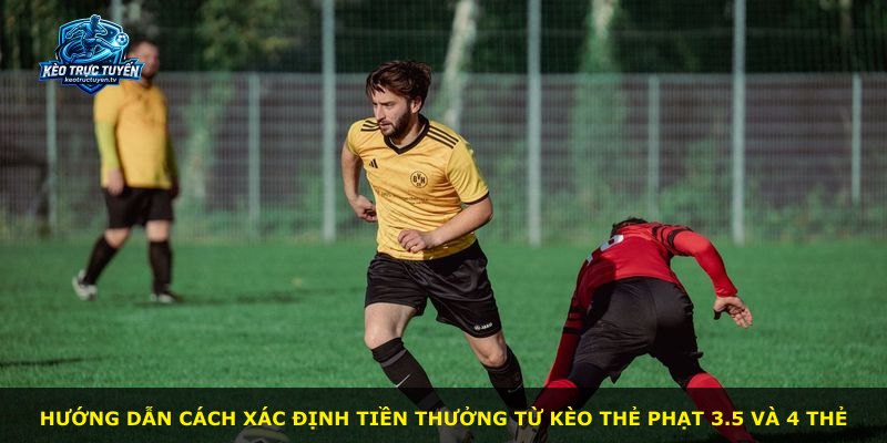 Hướng dẫn cách xác định tiền thưởng từ kèo thẻ phạt 3.5 và 4 thẻ