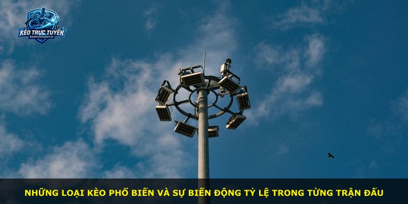 Những loại kèo phổ biến và sự biến động tỷ lệ trong từng trận đấu