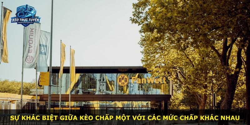 Sự khác biệt giữa kèo chấp một với các mức chấp khác nhau