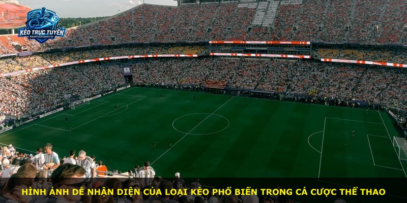 Hình ảnh dễ nhận diện của loại kèo phổ biến trong cá cược thể thao