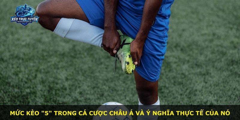 Mức kèo "5" trong cá cược châu Á và ý nghĩa thực tế của nó