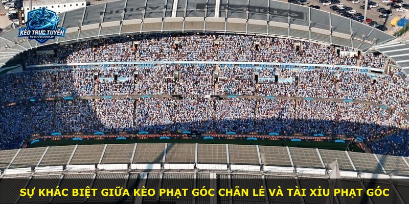 Sự khác biệt giữa kèo phạt góc chẵn lẻ và tài xỉu phạt góc