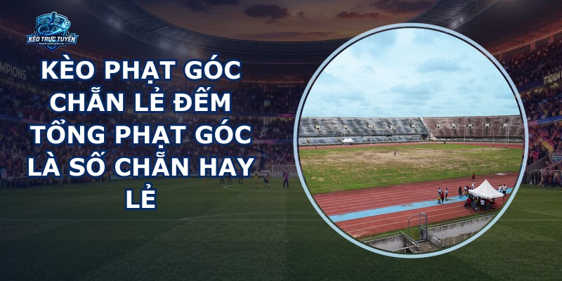 Kèo Phạt Góc Chẵn Lẻ