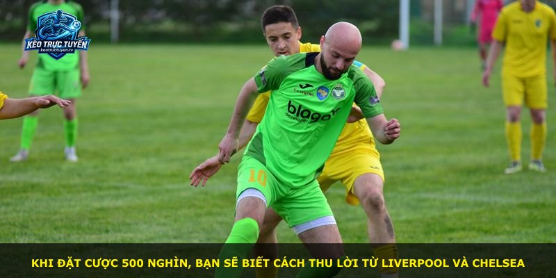 Khi đặt cược 500 nghìn, bạn sẽ biết cách thu lời từ Liverpool và Chelsea
