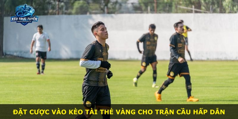 Đặt cược vào kèo tài thẻ vàng cho trận cầu hấp dẫn