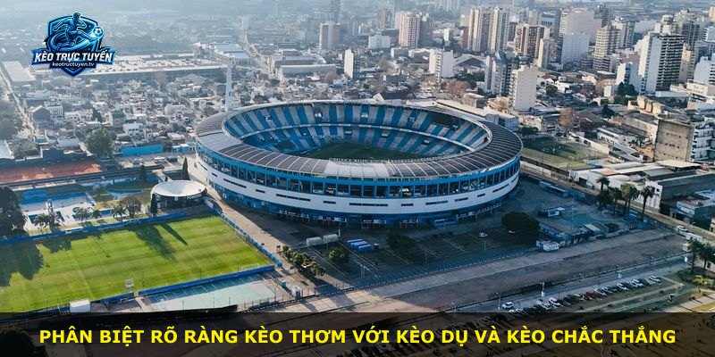 Phân biệt rõ ràng Kèo Thơm với kèo dụ và kèo chắc thắng