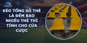 Kèo Tổng Số Thẻ