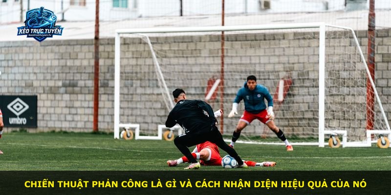Chiến thuật phản công là gì và cách nhận diện hiệu quả của nó