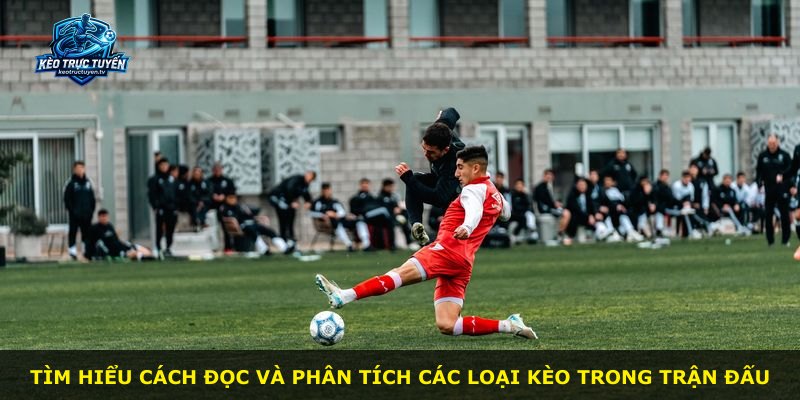 Tìm hiểu cách đọc và phân tích các loại kèo trong trận đấu