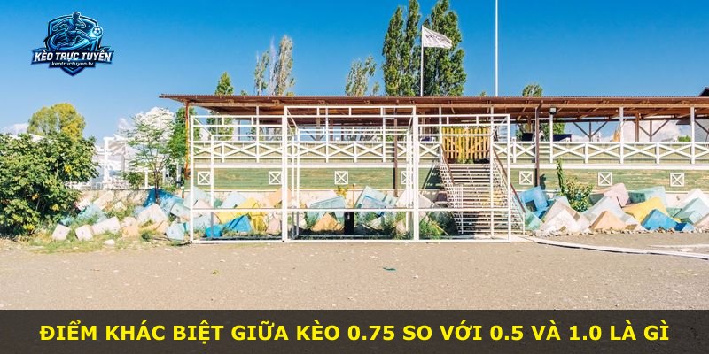 Điểm khác biệt giữa kèo 0.75 so với 0.5 và 1.0 là gì