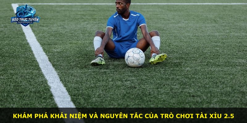 Khám phá khái niệm và nguyên tắc của trò chơi Tài Xỉu 2.5