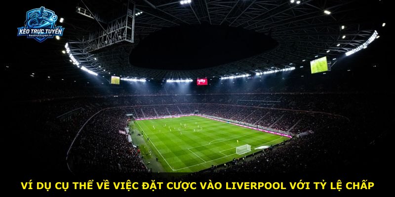 Ví dụ cụ thể về việc đặt cược vào Liverpool với tỷ lệ chấp