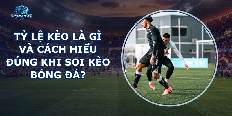 Tỷ Lệ Kèo